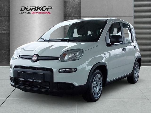 Colore esterno (weiss) Neu 2024 Fiat Panda Kleinwagen | 13.950 € (Guter Preis) - Bild 1/4