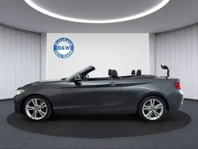 Gebraucht BMW 220 Performance 184 PS (135 kW) 2015 Grau Cabrio