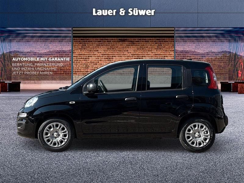 Neu Fiat Panda Icon 65 PS (47 kW) 2026 Schwarz Kleinwagen