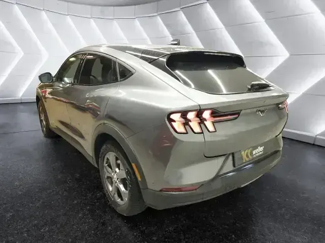 Gebraucht Ford Mustang Mach-E Standard Range 197 kW (269 PS) 2023 Grau SUV