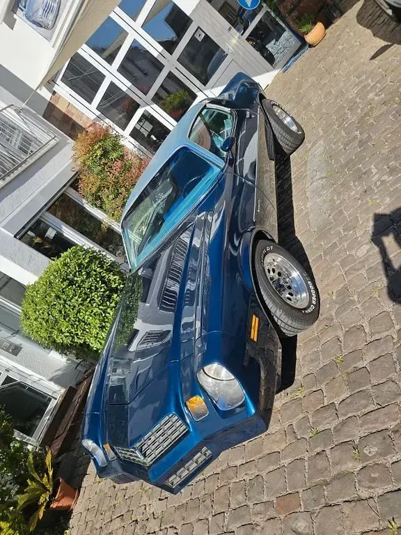 Occasion Chevrolet Camaro 200 ch (147 kW) 1979 Bleue Coupé