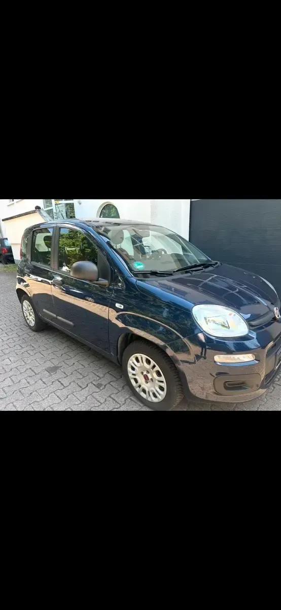 Gebraucht Fiat Panda 69 PS (50 kW) 2019 Blau Kleinwagen