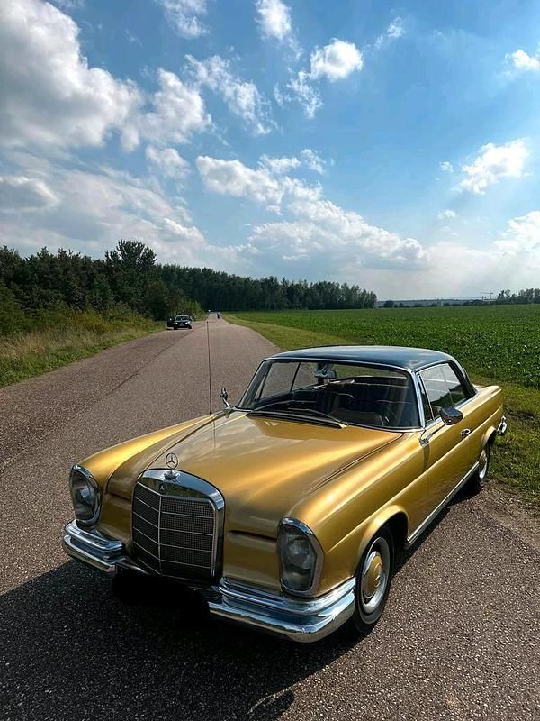 Gebraucht Mercedes 250 150 PS (110 kW) 1966 Gold Coupé