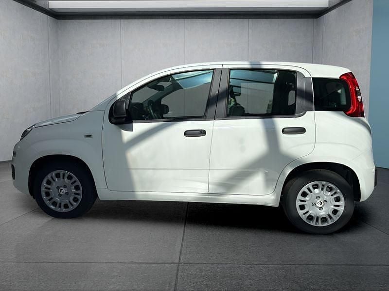 Neu Fiat Panda 69 PS (50 kW) 2025 Weiß Kleinwagen