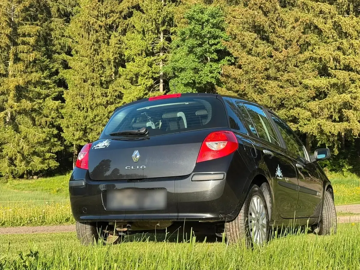 Occasion Renault Clio III Rip Curl 75 ch (55 kW) 2009 Noir Citadine