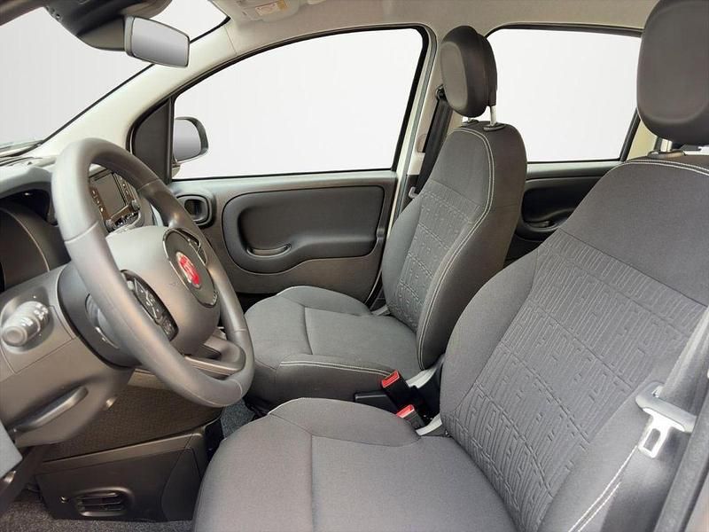 Neu Fiat Panda Icon 65 PS (47 kW) 2026 Gelato weiß Kleinwagen