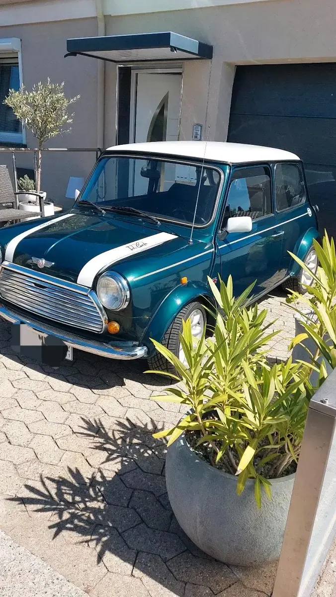 Gebraucht Mini Cooper 65 PS (47 kW) 1991 Grün Kleinwagen