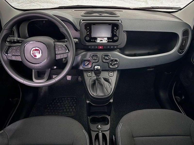 Neu Fiat Panda 69 PS (50 kW) 2025 Rot Kleinwagen