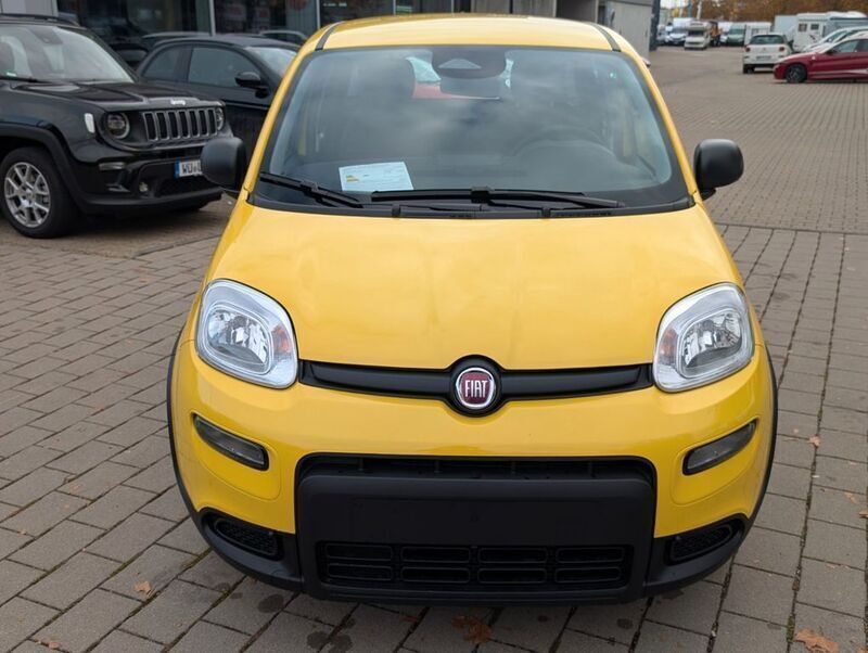 Neu Fiat Panda 69 PS (50 kW) 2025 Gelb Kleinwagen