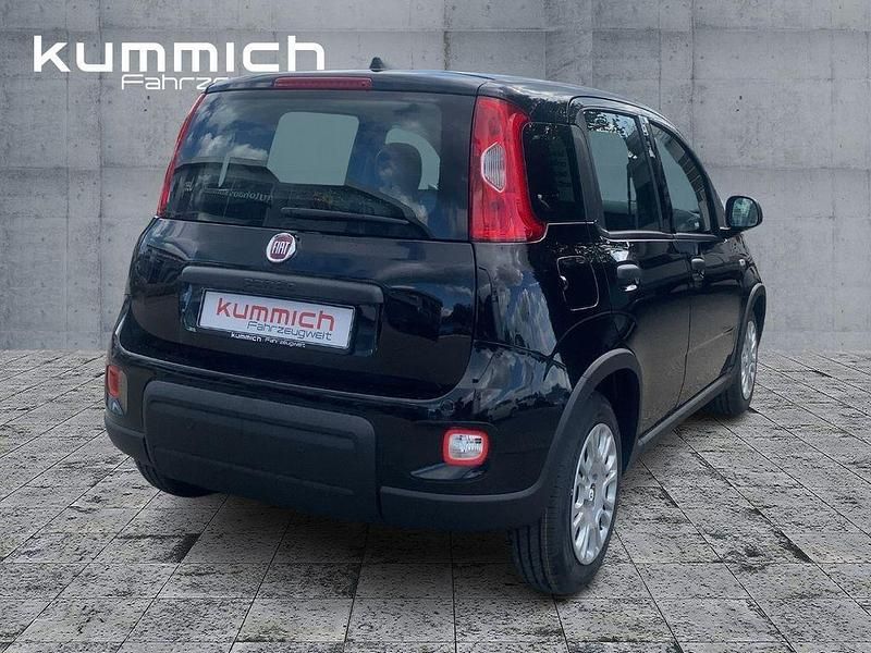 Gebraucht Fiat Panda 69 PS (50 kW) 2024 Schwarz Kleinwagen