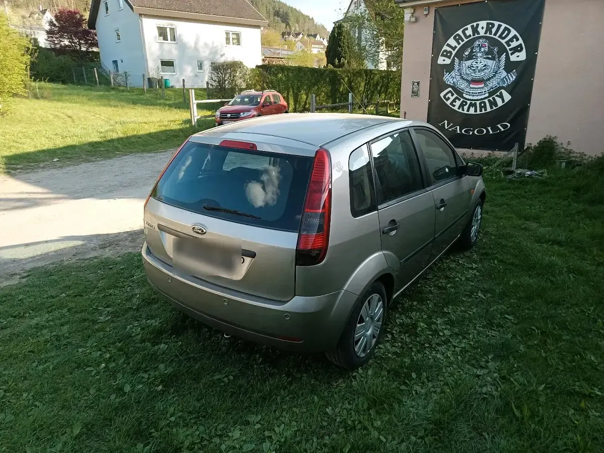 Usata Ford Fiesta 80 CV (58 kW) 2004 Oro Utilitaria