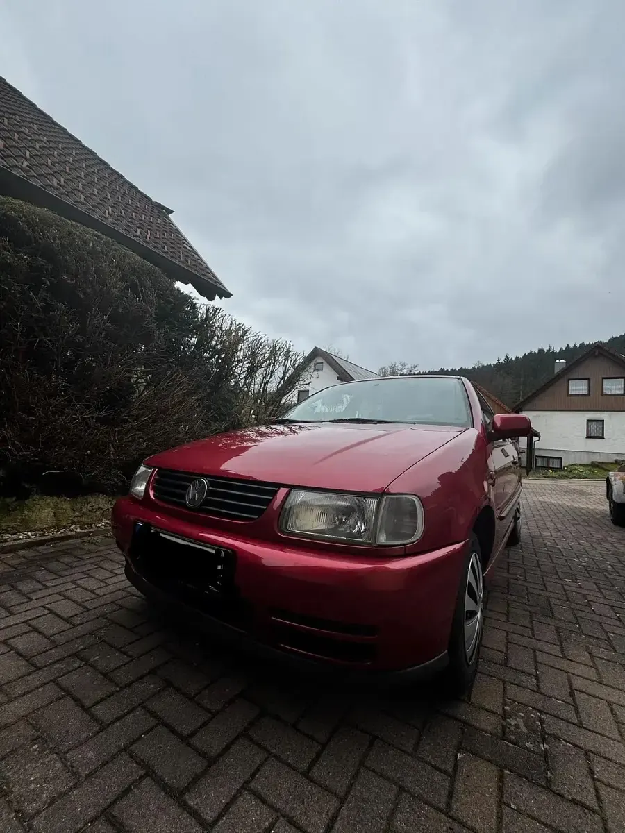 Usata VW Polo 65 CV (47 kW) 1997 Rosso Utilitaria