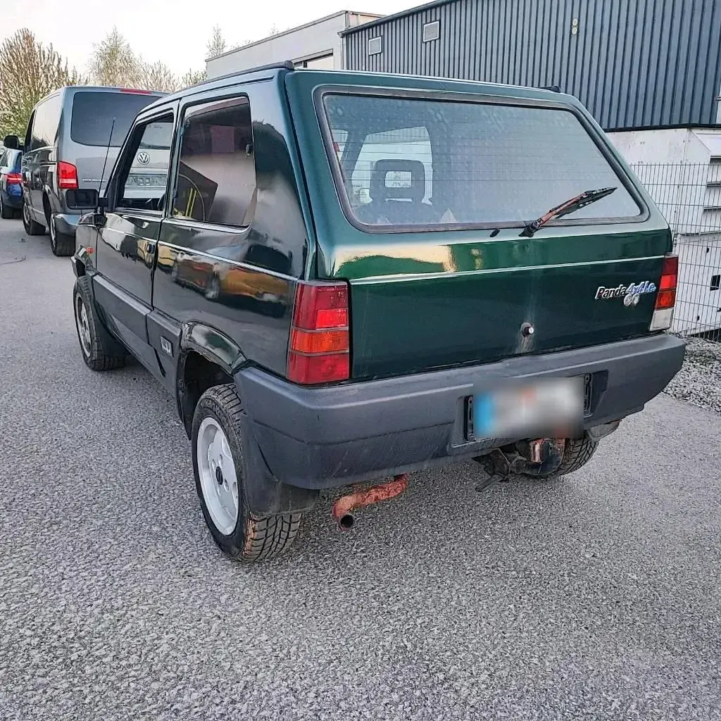 Gebraucht Fiat Panda 4x4 55 PS (40 kW) 1989 Grün Kleinwagen