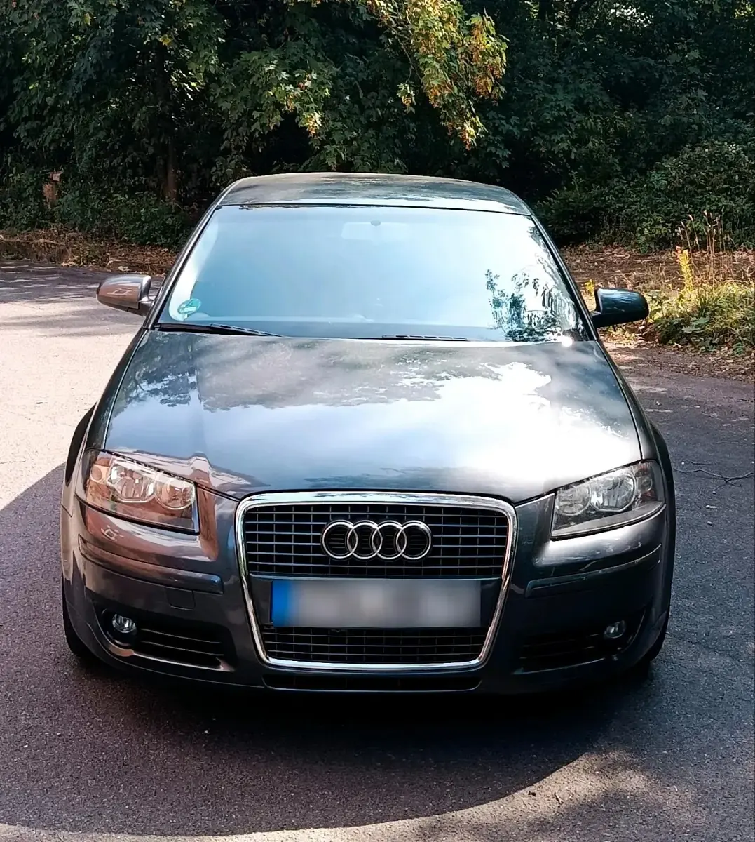 Gebraucht Audi A3 Sportback 115 PS (84 kW) 2005 Grau Kleinwagen