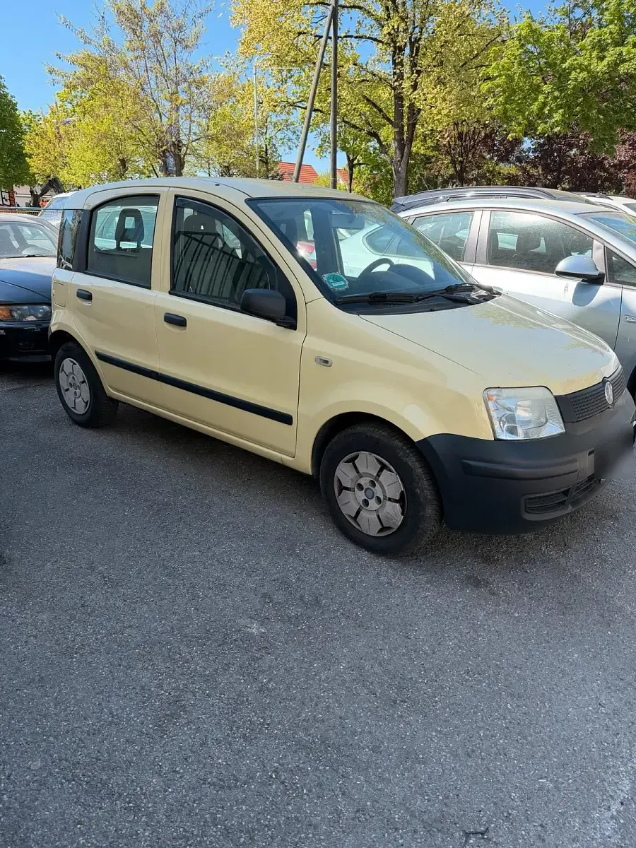 Usata Fiat Panda 2009 Giallo Utilitaria