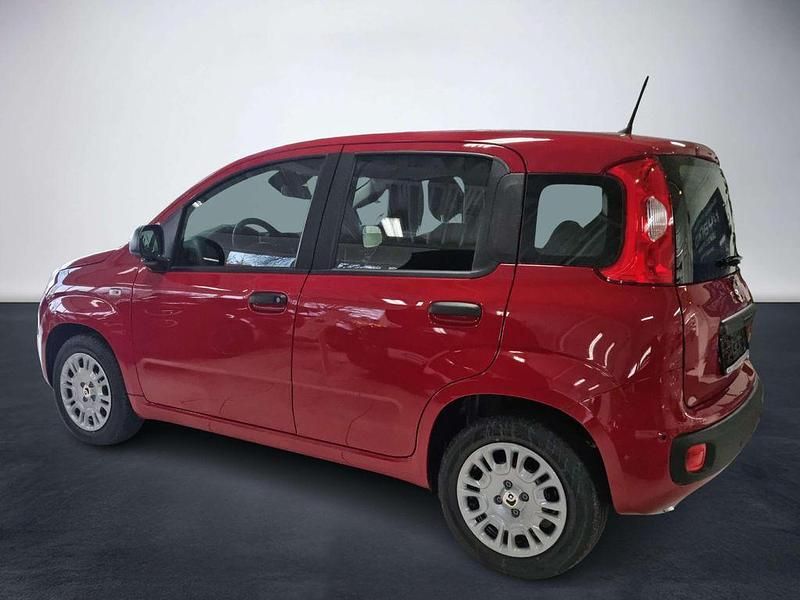 Neu Fiat Panda 69 PS (50 kW) 2025 Passione rot Kleinwagen