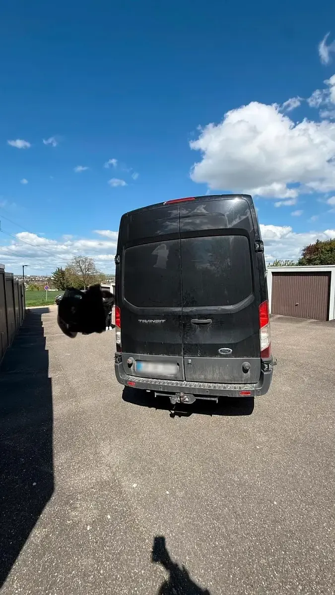 Usata Ford Transit 170 CV (125 kW) 2018 Nero Monovolume