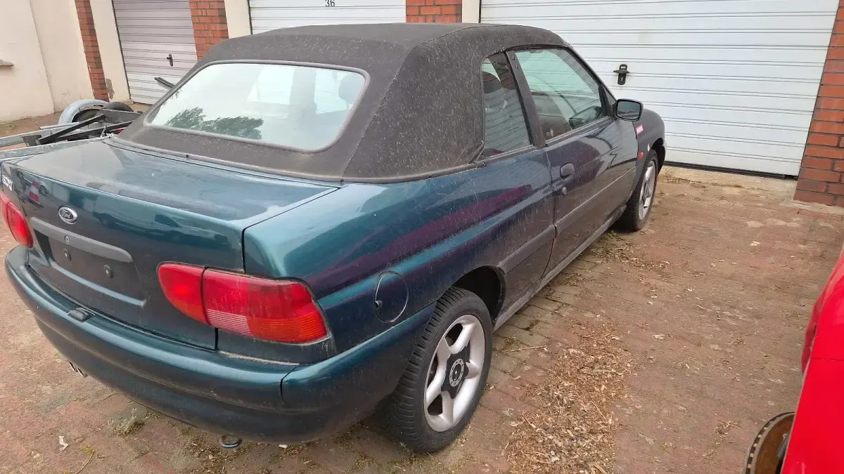 Gebraucht Ford Escort Cabriolet 75 PS (55 kW) 1996 Grün Cabrio