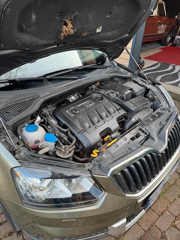 Grün Gebraucht 2014 Skoda Yeti SUV | 10.500 € (Guter Preis) - Bild 1/4