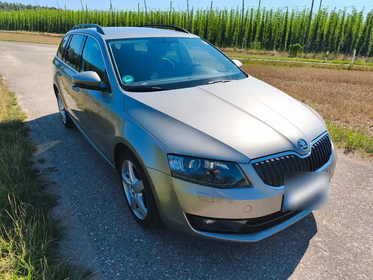Gebraucht Skoda Octavia Ambition 140 PS (102 kW) 2014 Beige Kombi