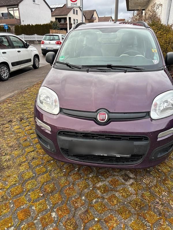 Violet Gebraucht 2013 Fiat Panda Kleinwagen | 4.400 € - Bild 1/4