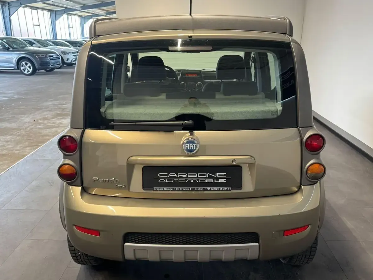 Gebraucht Fiat Panda 4x4 Cross 69 PS (50 kW) 2006 Grau Kleinwagen