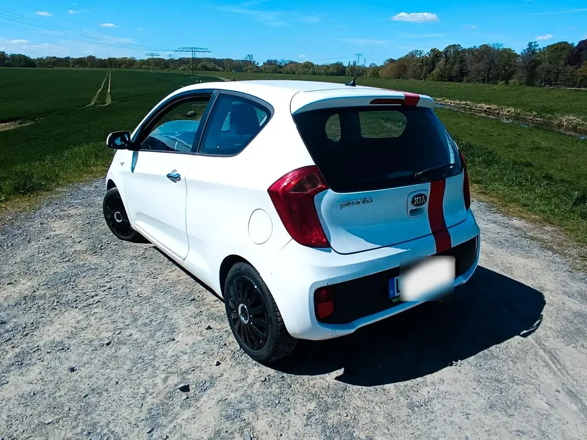 Używany Kia Picanto 69 KM (50 kW) 2014 Biały Hatchback