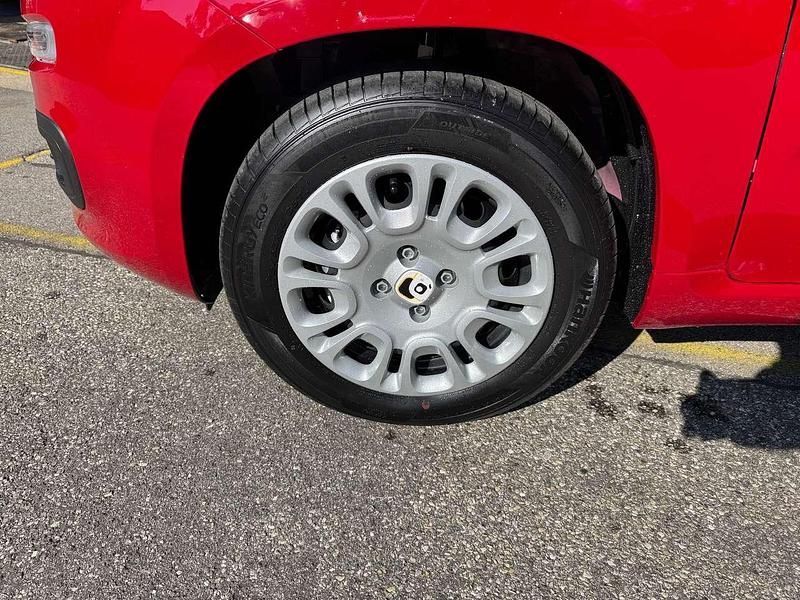 Neu Fiat Panda 69 PS (50 kW) 2025 Passione rot Kleinwagen