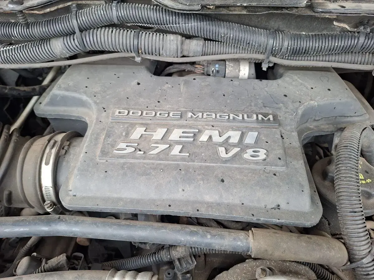 Usata Dodge Ram 345 CV (253 kW) 2004 Nero Pick-up