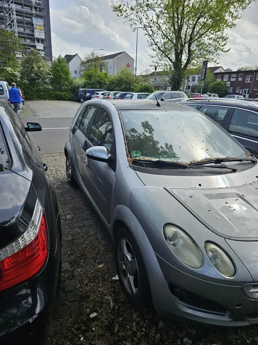 Occasion Smart ForFour 65 PK (47 kW) 2006 Zilver Hatchback