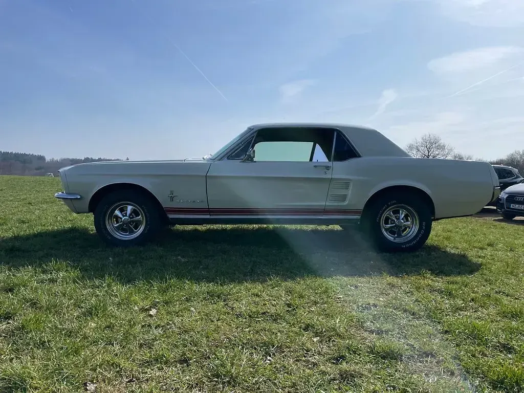 Gebraucht Ford Mustang 190 PS (139 kW) 1967
