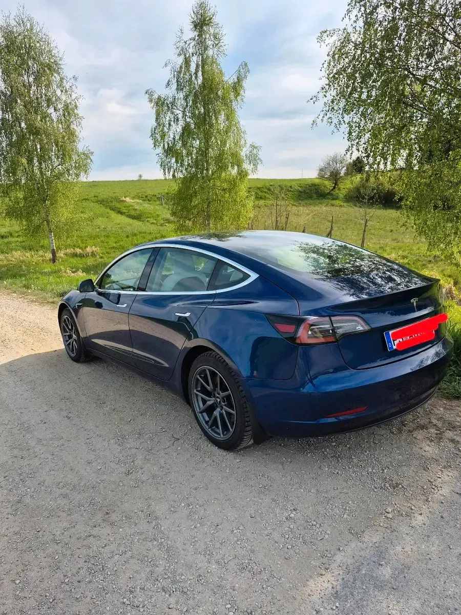 Brugt Tesla Model 3 Standard Range Plus 225 kW (306 HK) 2019 Blå Sedan