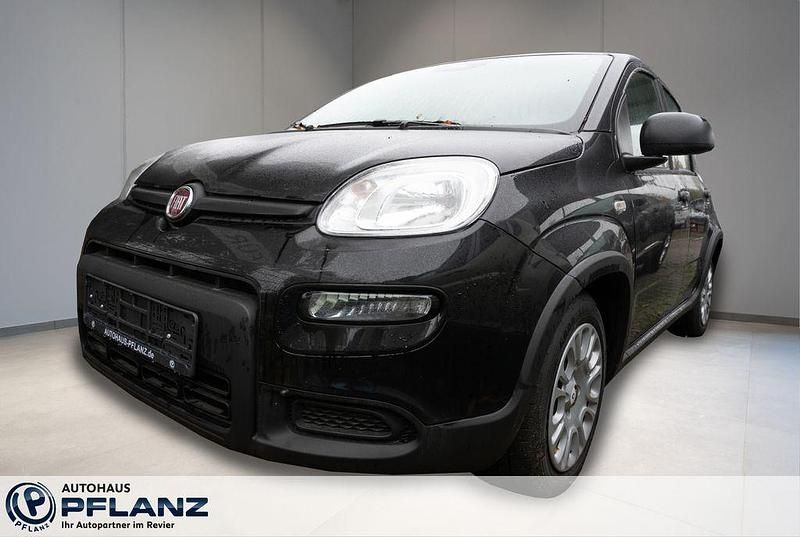Neu Fiat Panda 69 PS (50 kW) 2025 Schwarz Kleinwagen