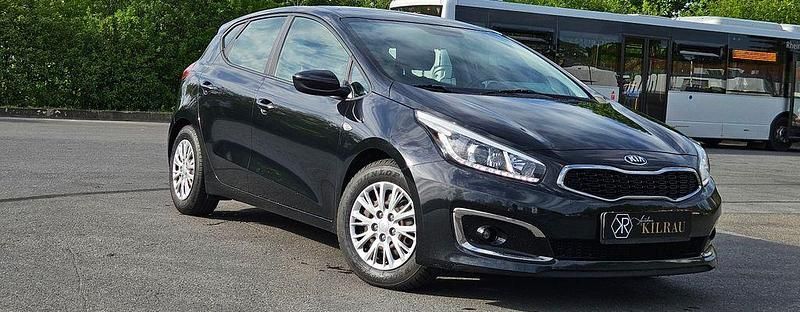 Usata Kia Ceed 135 CV (99 kW) 2016 Nero Utilitaria