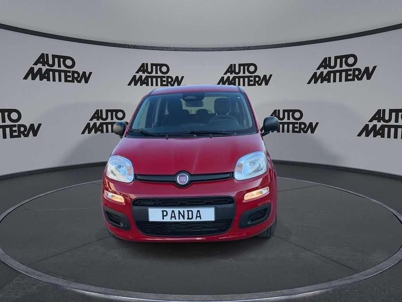 Neu Fiat Panda Icon 65 PS (47 kW) 2026 Rot Kleinwagen