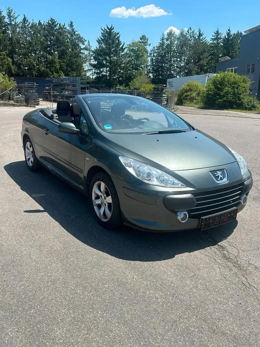 Gebraucht Peugeot 307 CC 136 PS (100 kW) 2005 Andere farben Cabrio