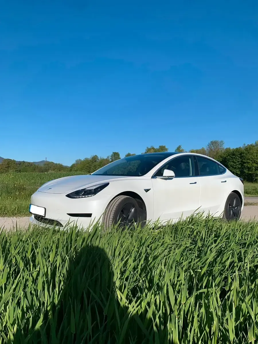 Gebraucht Tesla Model 3 Standard Range Plus 2020 Weiß Limousine
