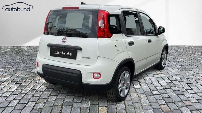 Gebraucht Fiat Panda 69 PS (50 kW) 2024 Weiss / gelatoweiss Kleinwagen