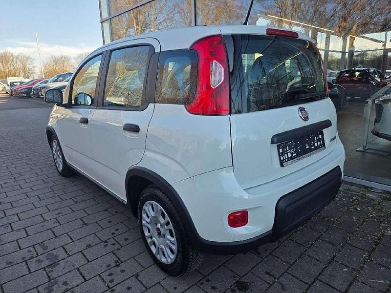 Gebraucht Fiat Panda 69 PS (50 kW) 2023 Bianco gelato Kleinwagen