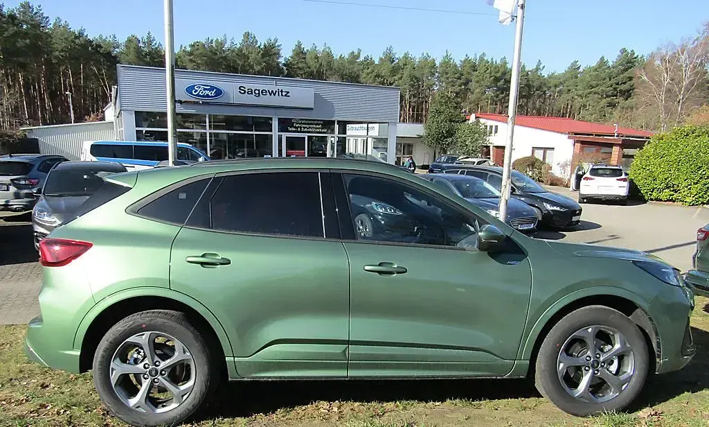 Gebraucht Ford Kuga ST-Line 186 PS (136 kW) 2025 Grün SUV