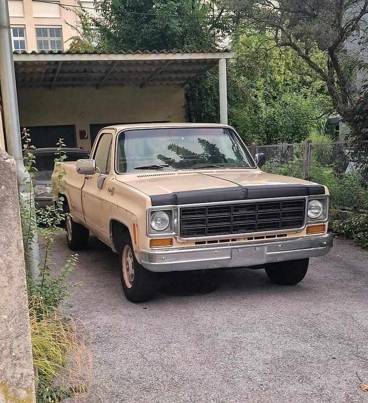 Beige Gebraucht 1977 Chevrolet C20 SUV | 14.000 € - Bild 1/4