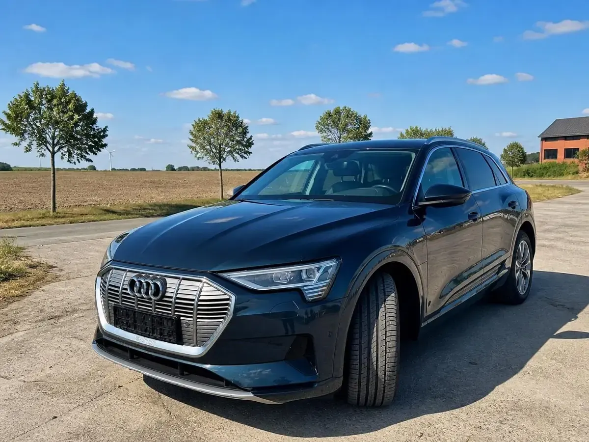 Usata Audi e-tron 230 kW (313 CV) 2019 Grigio SUV