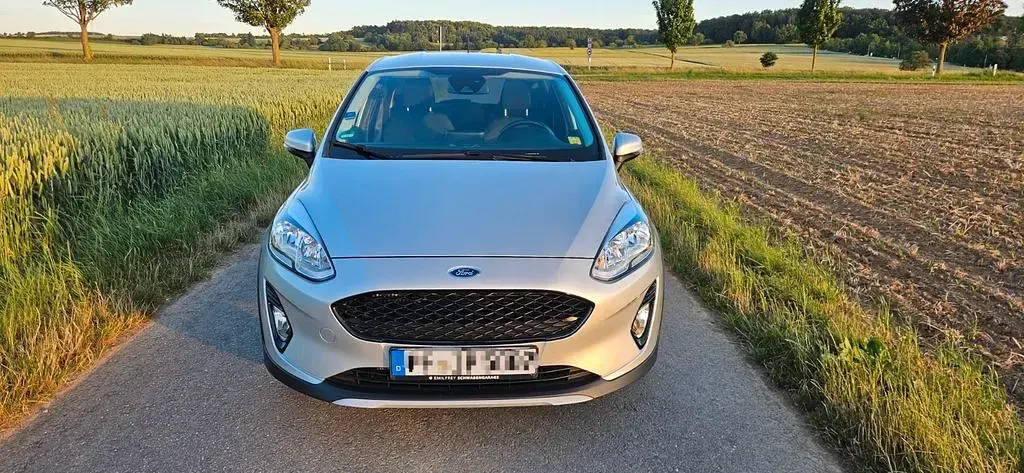 Gebraucht Ford Fiesta Active 101 PS (74 kW) 2019 Grau Kleinwagen