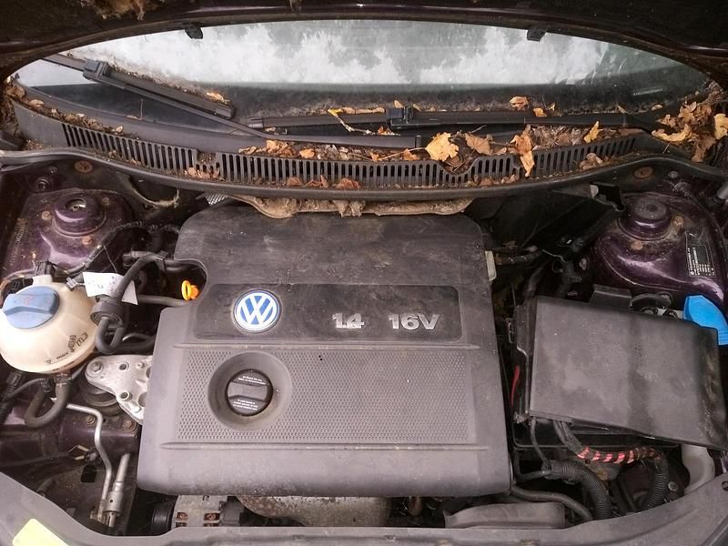 Gebraucht VW Polo 75 PS (55 kW) 2004 Violet Kleinwagen