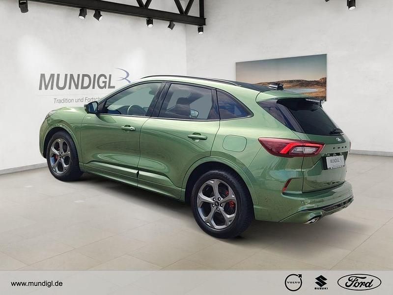 Gebraucht Ford Kuga ST-Line X 152 PS (111 kW) 2025 Gruen SUV