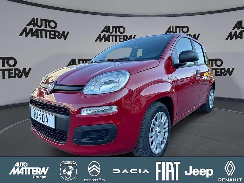 Neu Fiat Panda Icon 65 PS (47 kW) 2026 Rot Kleinwagen