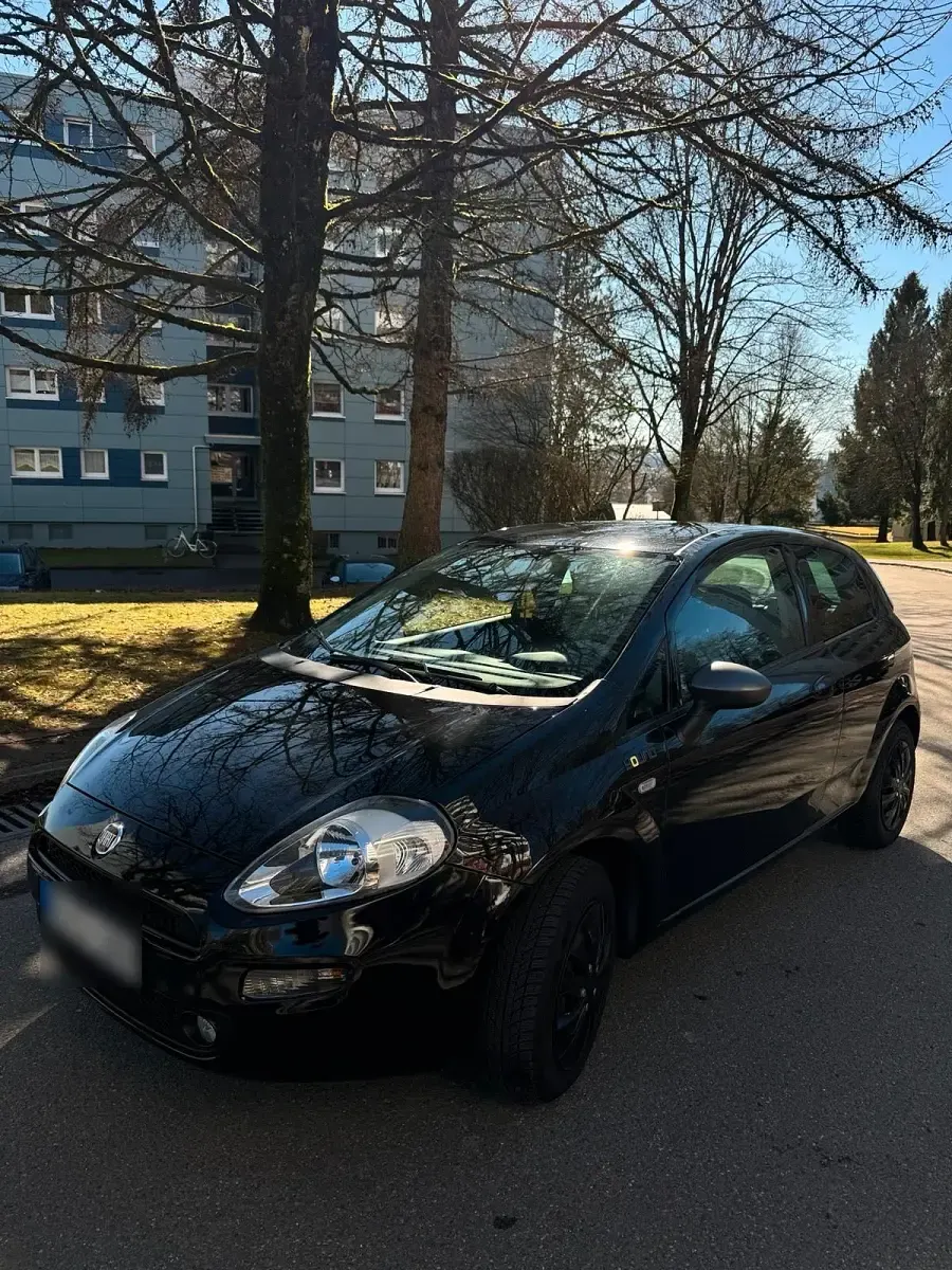 Gebraucht Fiat Punto Young 69 PS (50 kW) 2015 Schwarz Kleinwagen