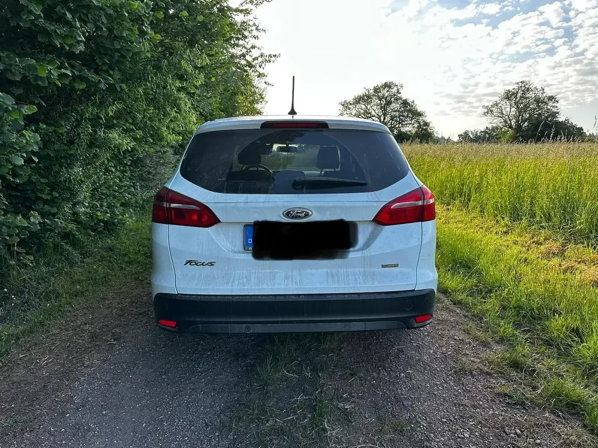 Gebraucht Ford Focus 125 PS (91 kW) 2018 Weiß Kombi
