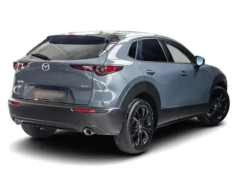 Gebraucht Mazda CX-30 Homura-Line 2022 Grau SUV