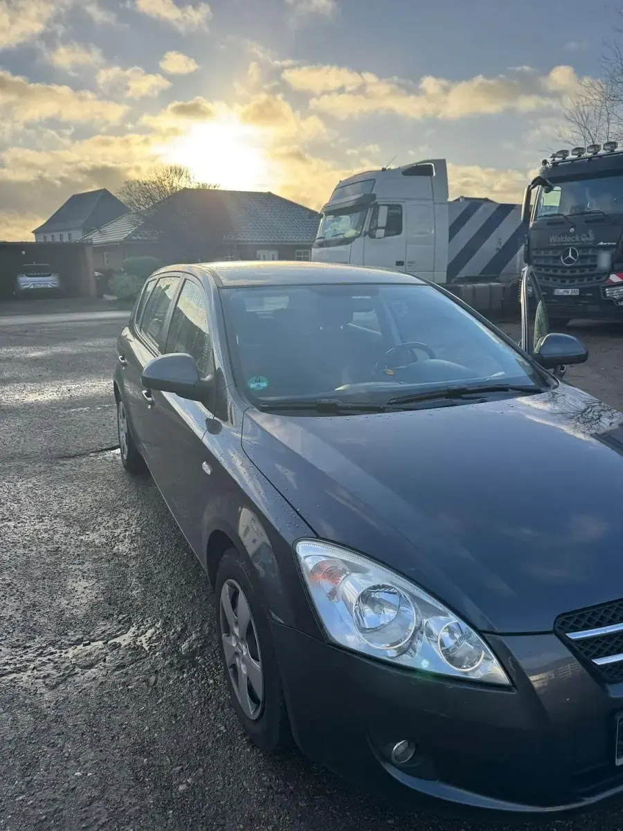 Usata Kia Ceed Start 109 CV (80 kW) 2009 Grigio Utilitaria